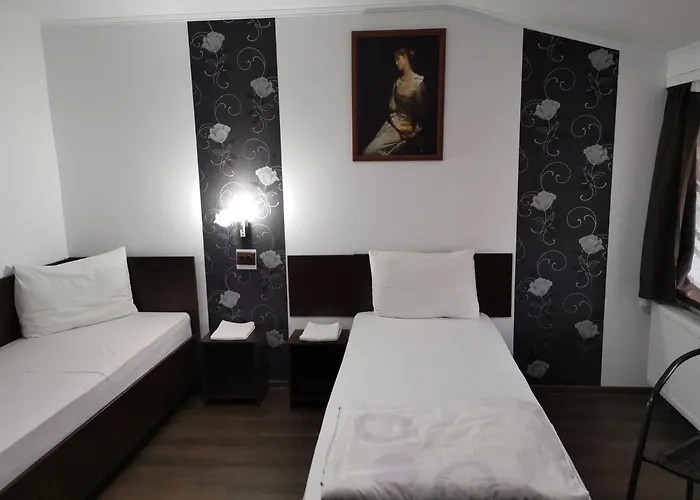 Auberge de jeunesse Joe