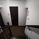 Joe بيت شباب *